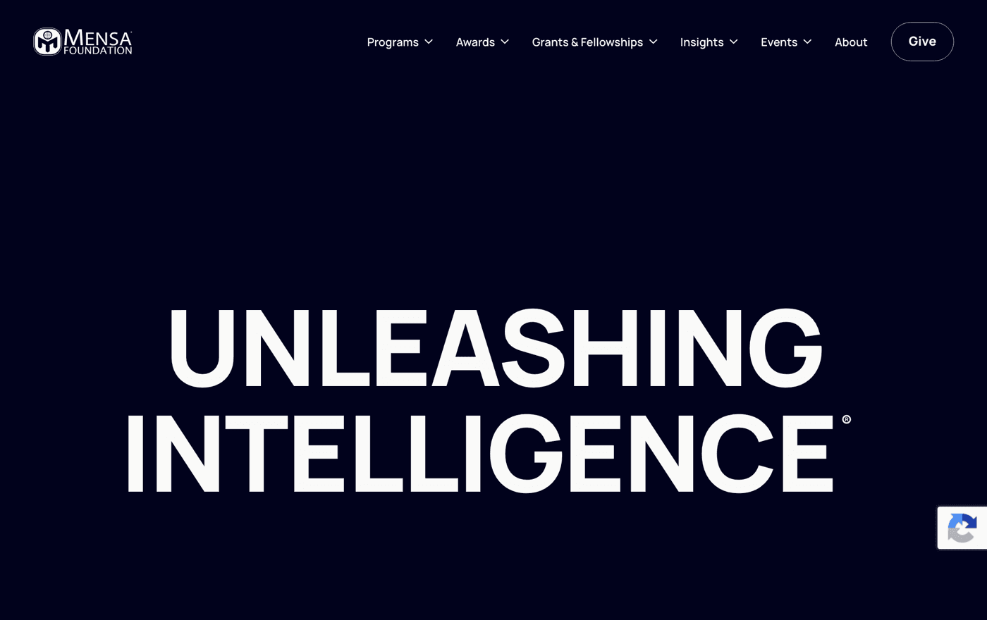 Mensa Foundation — Nonprofit · Foundation case study by DotVertex